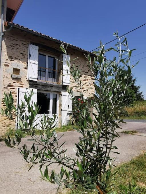 הוילה Saint-Bazile La Grange De Pierrot מראה חיצוני תמונה